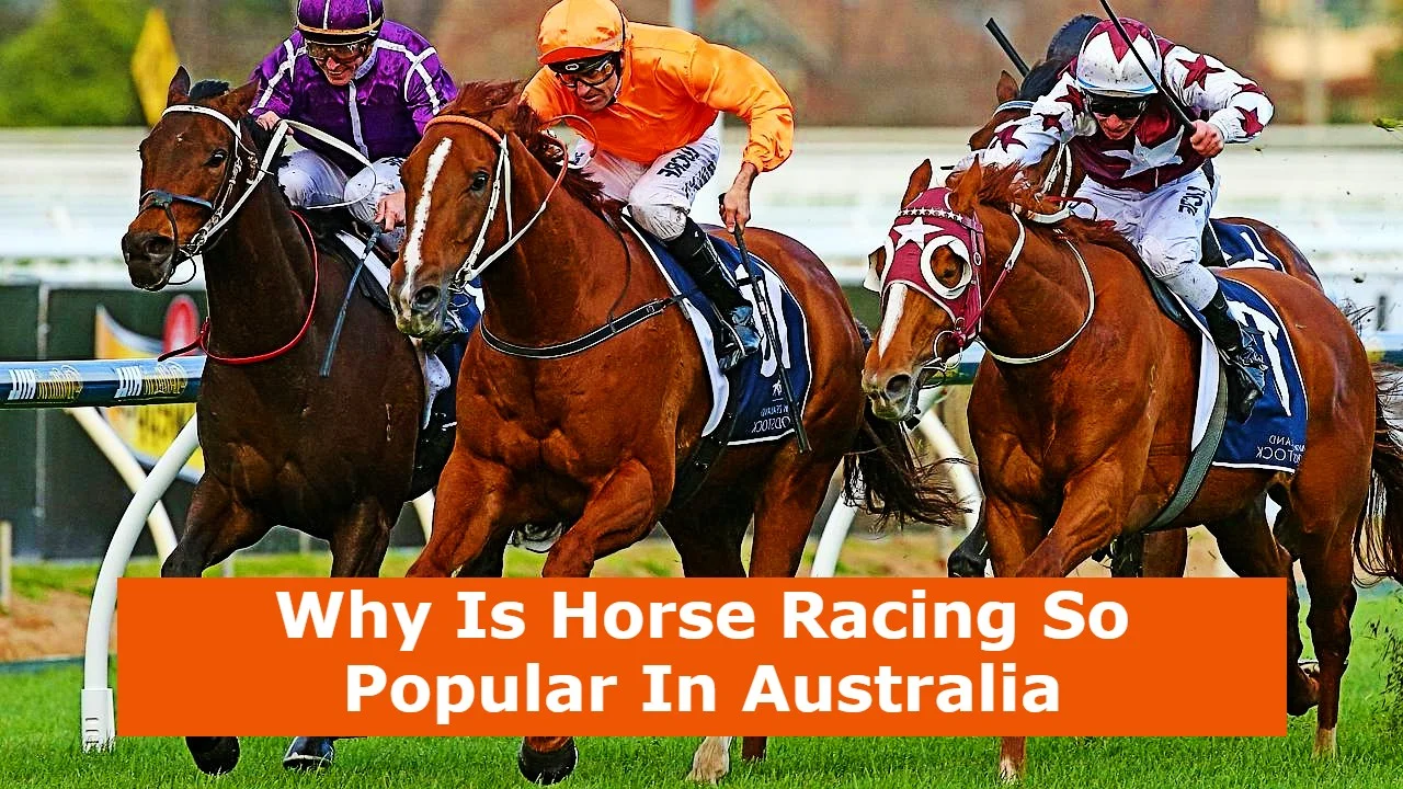 Why is Australian Horse Racing So Popular?