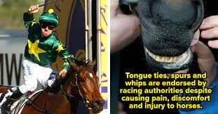 Why Are Horse Racing Bad? 12 Facts