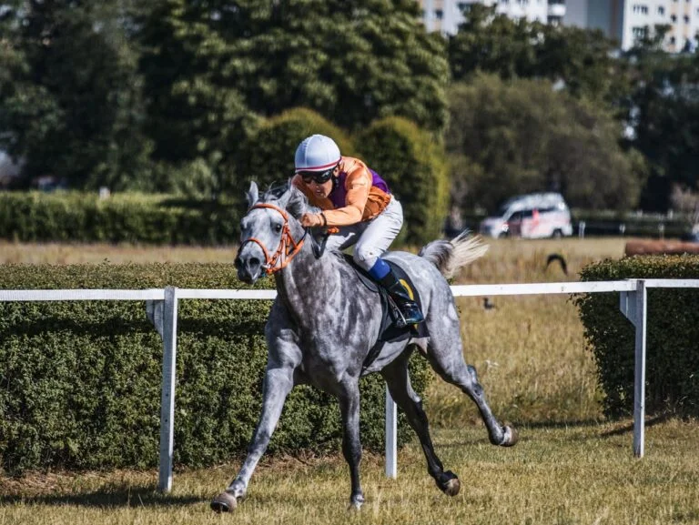 5. Rise to Glory The Inspirational Stories of Grand National Champions